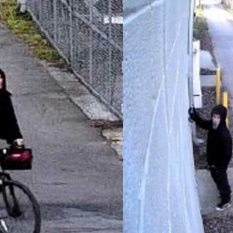 Suspect on bicycle wanted for commercial vandalism in annapolis - photo licensed by shore news network.