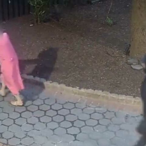 This is new york city, 90-year-old woman victim of purse snatching - photo licensed by shore news network.