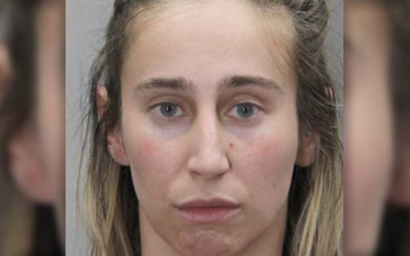 Fairfax County Teacher Charged with Possession of Lewd Images of Children