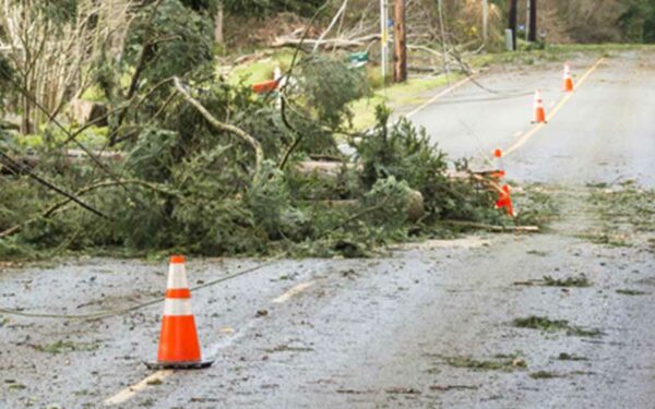 High Winds, Fallen Trees Force Closure of Route 571 in Jackson
