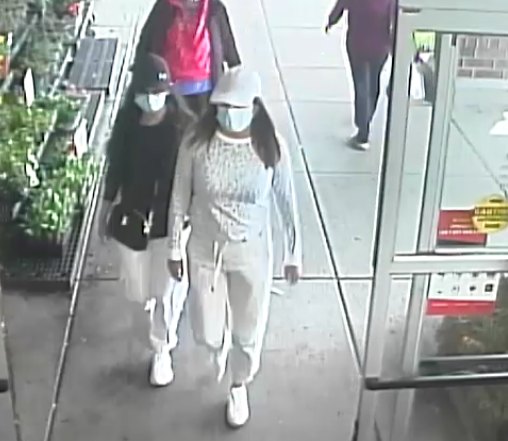 Suspects Targeted Elderly Women Shoppers in Bethlehem
