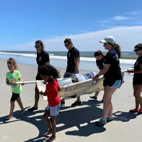 Marine mammal stranding center offering summer program for families - photo licensed by shore news network.