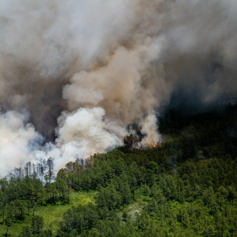 Photos: south jersey forest fire burns 13,500 acres, state says 95% contained - photo licensed by shore news network.