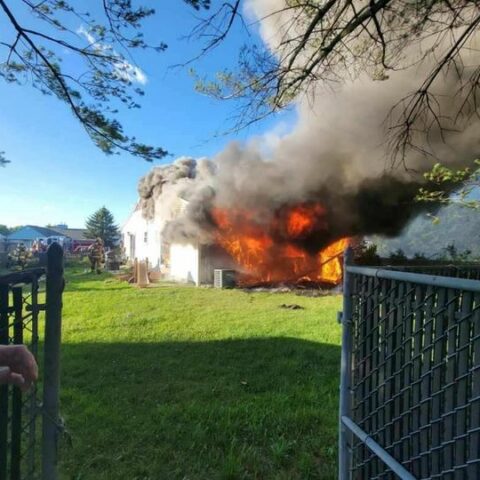 Family dog perishes in toms river duplex fire - photo licensed by shore news network.