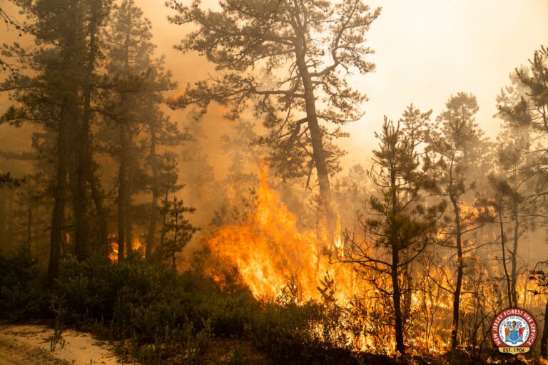 300 acre fire burns at brendan byrne forest in manchester - photo licensed by shore news network.