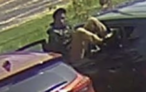 Columbus police looking to identify car thief
