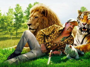 Dems prioritize big cat legislation inspired by ‘tiger king’ series over boosting oil, gas production