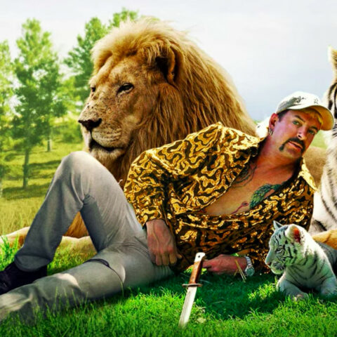 Dems prioritize big cat legislation inspired by ‘tiger king’ series over boosting oil, gas production - photo licensed by shore news network.