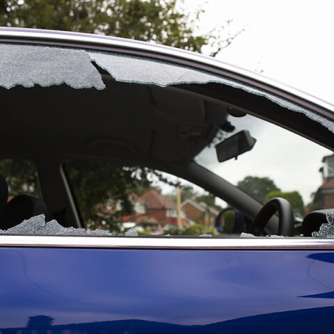 Buffalo woman charged for leaving dog inside parked car - photo licensed by shore news network.