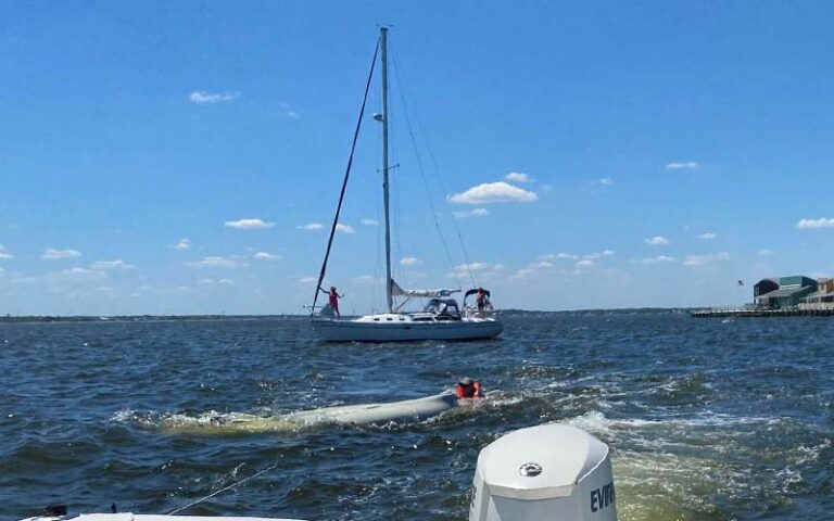 Toms river councilman rescues boater after vessel capsizes in barnegat bay - photo licensed by shore news network.