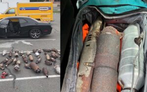 New rochelle police bust cat thieves making a deal