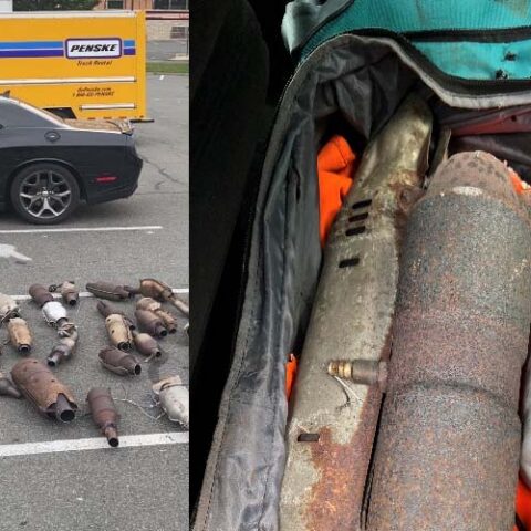 New rochelle police bust cat thieves making a deal - photo licensed by shore news network.