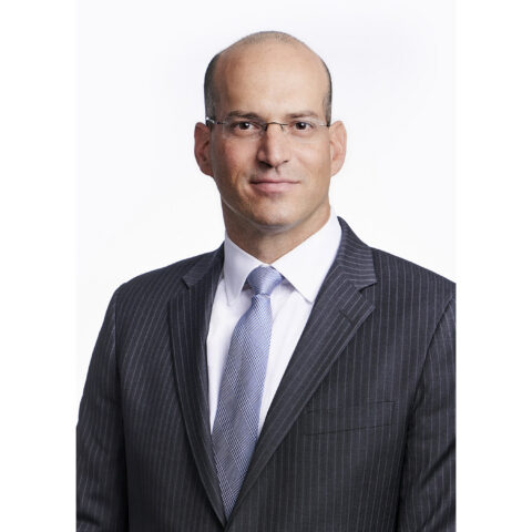 Debevoise adds erez liebermann as data strategy & security partner - photo licensed by shore news network.