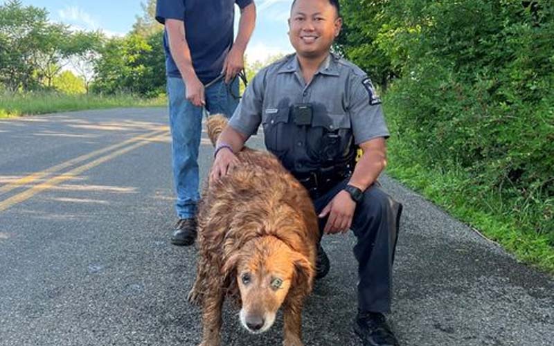 New York State Trooper Rescues Dog Missing for Days Stuck in Culvert Pipe