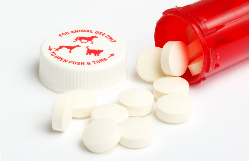 Madison Heights Veterinarian Headed to Prison for Opioid Theft