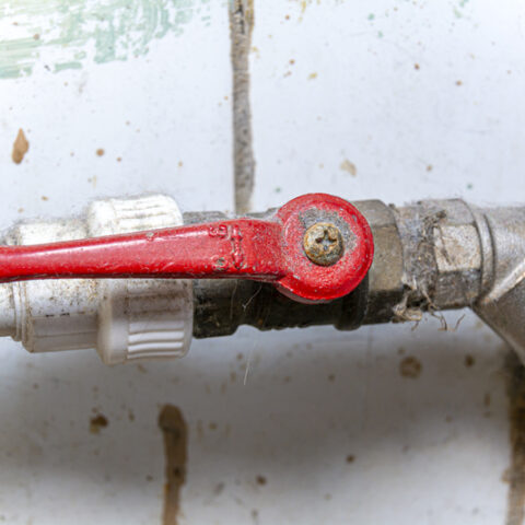 Buffalo landlord pleads guilty to exposing tenants to lead pipes - photo licensed by shore news network.