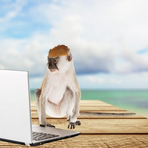 Connecticut to hire ‘misinformation’ specialist to police the internet - photo licensed by shore news network.