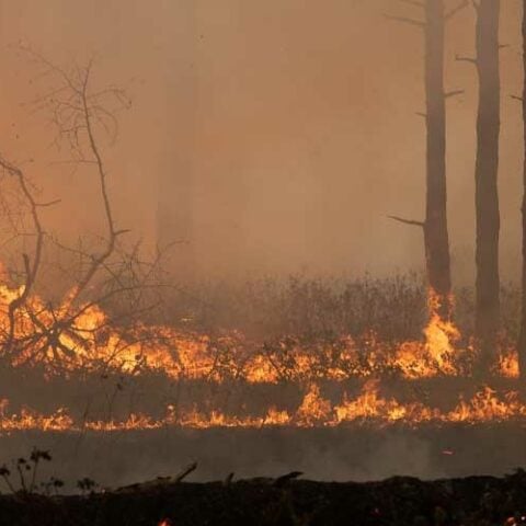 Ocean county firefighters dispatched to assist in 2,000 acre pine barren forest fire - photo licensed by shore news network.