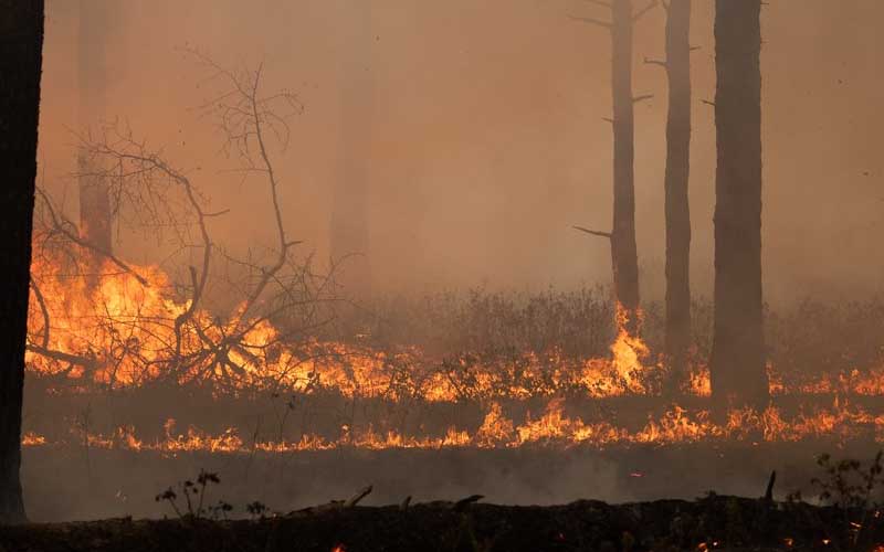 Ocean County Firefighters Dispatched to Assist in 2,000 Acre Pine Barren Forest Fire