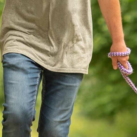 Manchester man charged with animal cruelty while dropping dog off at groomer - photo licensed by shore news network.