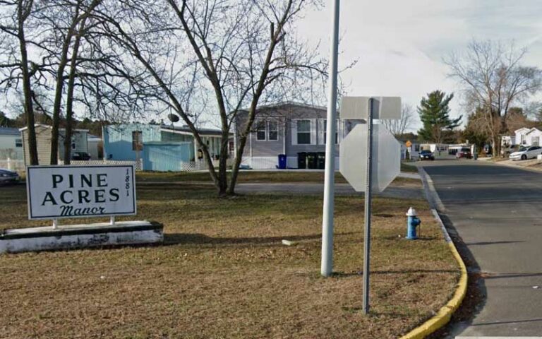 Rabid cat that attacked several people in manchester found dead tests positive for rabies - photo licensed by shore news network.