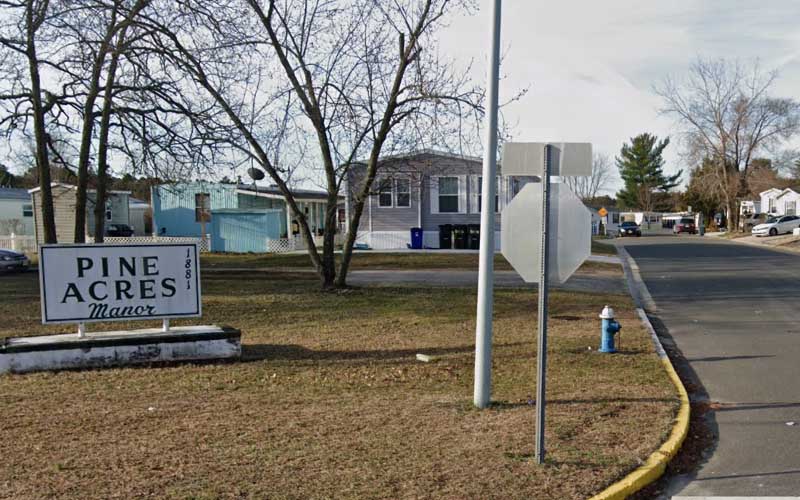 Rabid Cat that Attacked Several People in Manchester Found Dead Tests Positive For Rabies