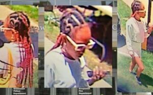 Purse snatcher in greenwich sought after she fled in getaway suv