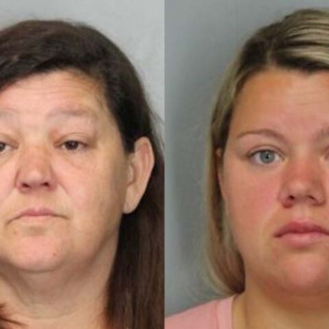 Delaware police conduct fugitive search, two women arrested - photo licensed by shore news network.
