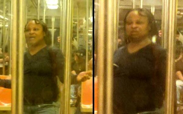 Woman Bit 65-Year-Old Asian Man, Shouted Racial Slurs on New York City Subway
