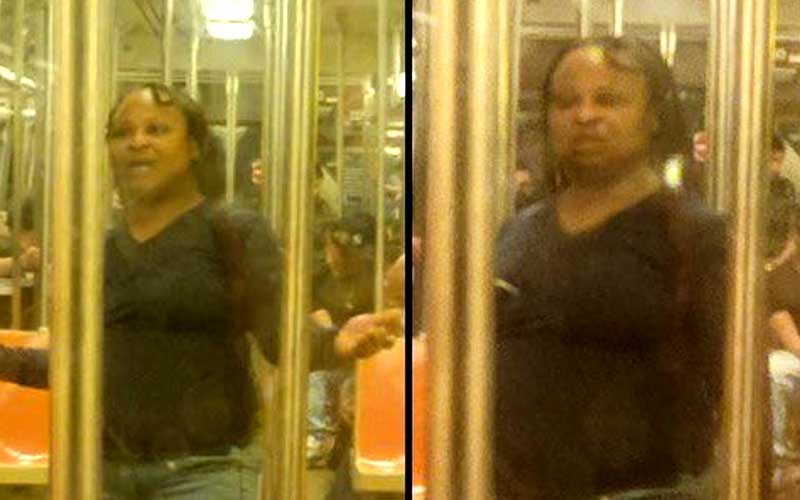 Woman Bit 65-Year-Old Asian Man, Shouted Racial Slurs on New York City Subway