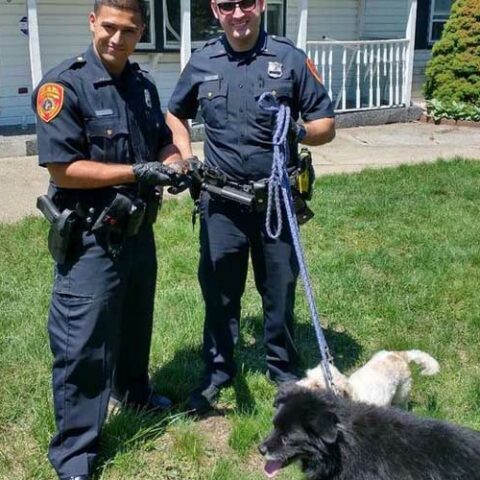 Cop, town worker kick in door to save dogs and chickens from burning home - photo licensed by shore news network.