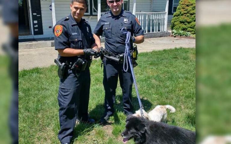 Cop, town worker kick in door to save dogs and chickens from burning home - photo licensed by shore news network.