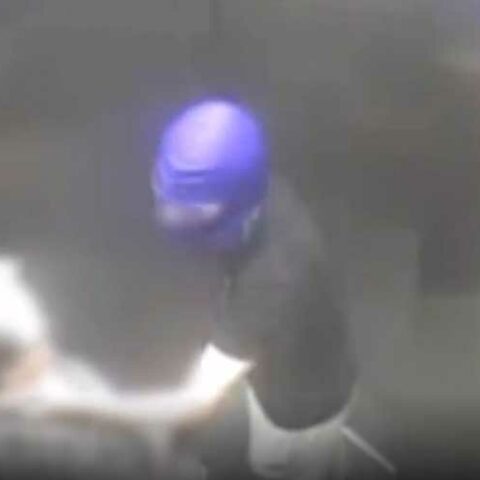 74-year-old woman robbed in brooklyn apartment building elevator - photo licensed by shore news network.