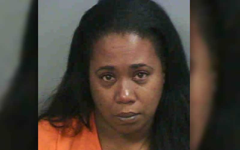 Woman Charged for Assaulting Pet Birds During Domestic Dispute