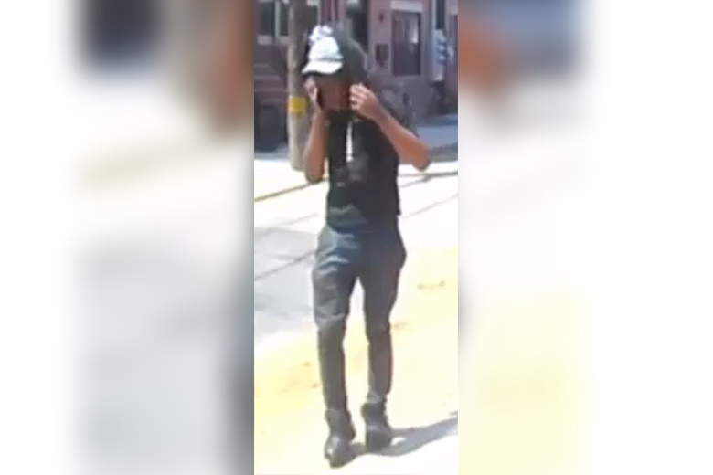 Vandalism Suspect Sought in Francisville