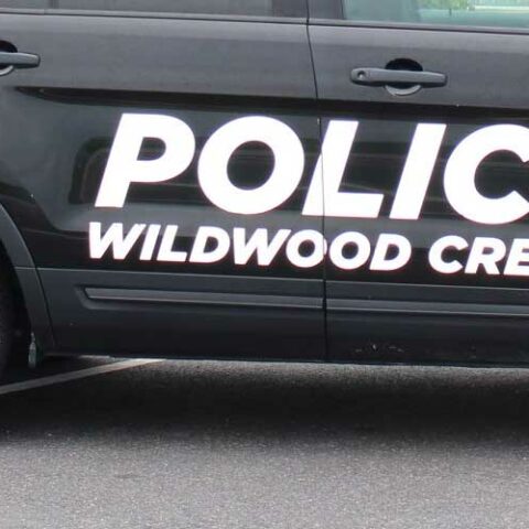 Lancaster man assaulted female passenger, gets hit with illegal gun charge at jersey shore - photo licensed by shore news network.