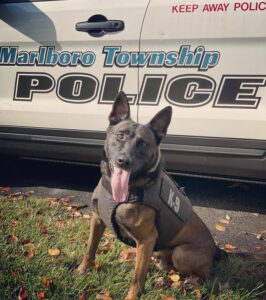 Missing dementia patient found in landscaping bed in marlboro by police k-9