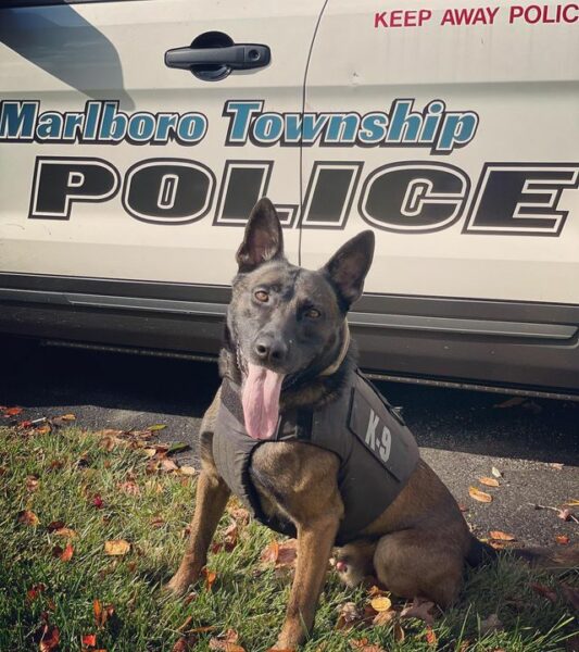 Missing Dementia Patient Found in Landscaping Bed in Marlboro by Police K-9