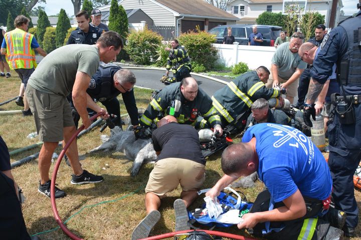 Teen Trapped in Basement, Three Dogs Rescued from Burning Long Island Home