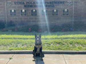 Utica k9 gets body armor donation