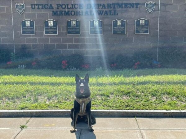 Utica K9 Gets Body Armor Donation