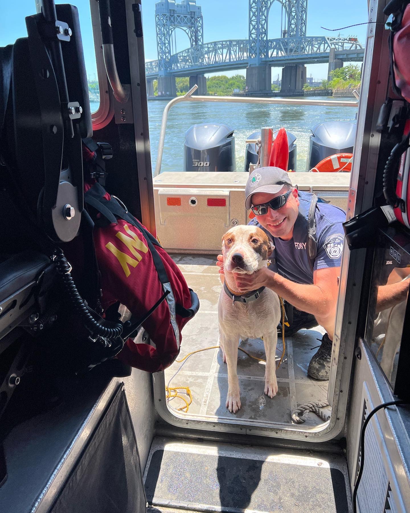 New York City Firefighters Rescue Dog Thrown Off Harlem River Bridge
