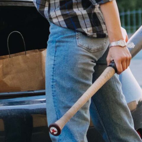 Glen burnie woman charged after striking man with baseball bat during argument - photo licensed by shore news network.