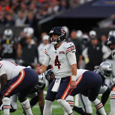 The bears can’t even be bribed to stay in crime-ridden chicago - photo licensed by shore news network.