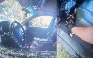 Police smash window to rescue dog left in hot car in new fairfield