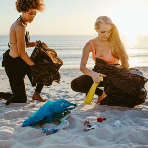 Here are the 10 most popular items people litter jersey shore beaches with - photo licensed by shore news network.