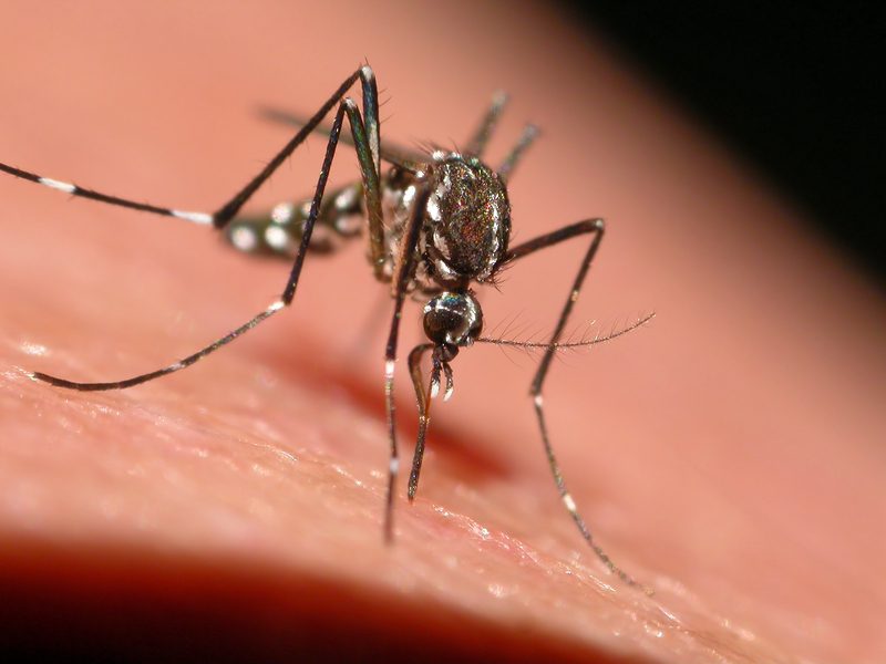 South River Spraying for Mosquitos on Wednesday