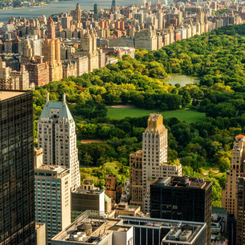 Gay men menaced by hammer wielding suspect near central park - photo licensed by shore news network.