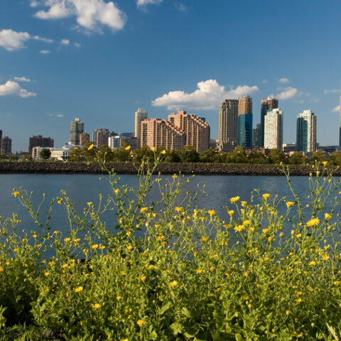 Democrats reject plan to protect caven point wild life sanctuary at liberty state park - photo licensed by shore news network.