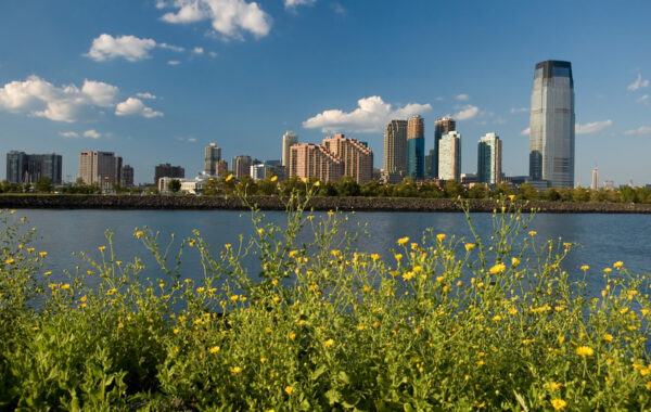 Democrats Reject Plan to Protect Caven Point Wild Life Sanctuary At Liberty State Park